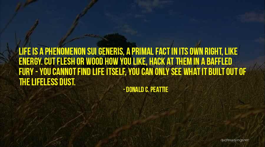Esquisse Translation Quotes By Donald C. Peattie Esquisse Translation Quotes By Donald C. Peattie