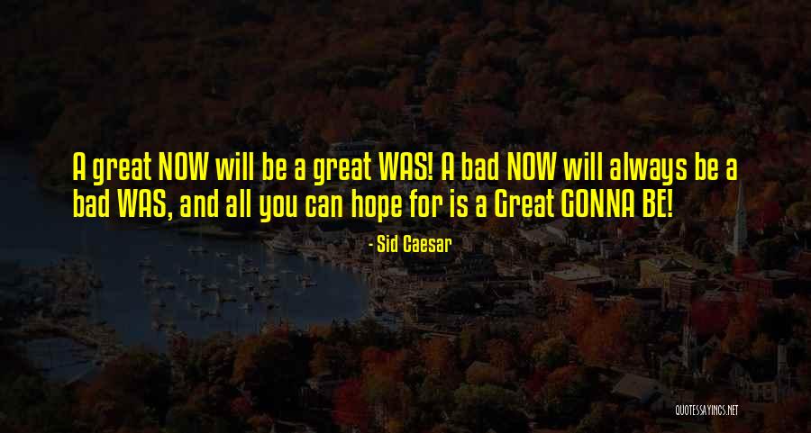 Esquivias Fish Quotes By Sid Caesar Esquivias Fish Quotes By Sid Caesar