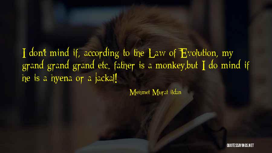 Essay Introduction Using Quotes By Mehmet Murat Ildan Essay Introduction Using Quotes By Mehmet Murat Ildan