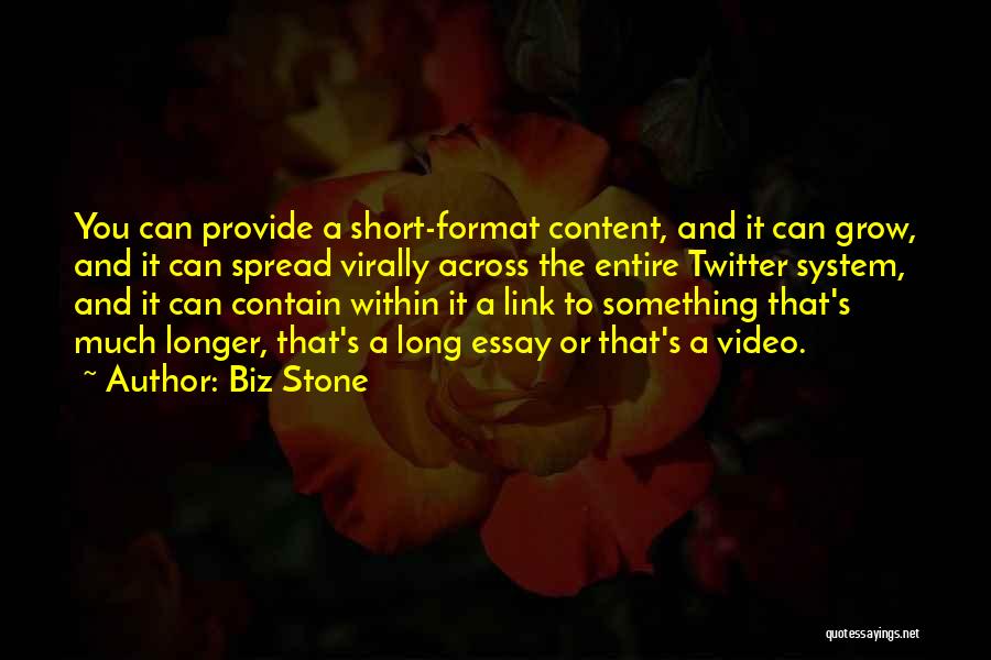 Essay Quotes By Biz Stone