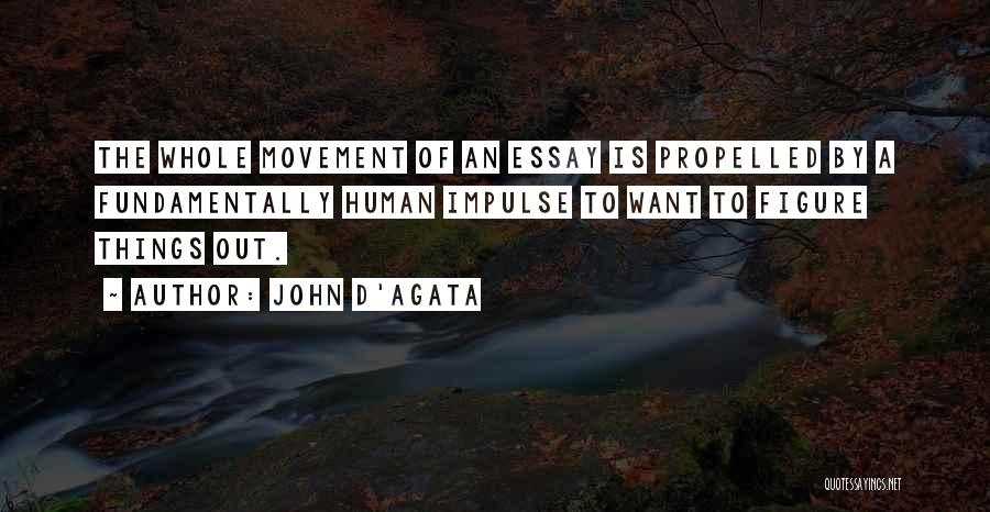 Essay Quotes By John D'Agata