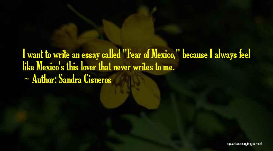 Essay Quotes By Sandra Cisneros