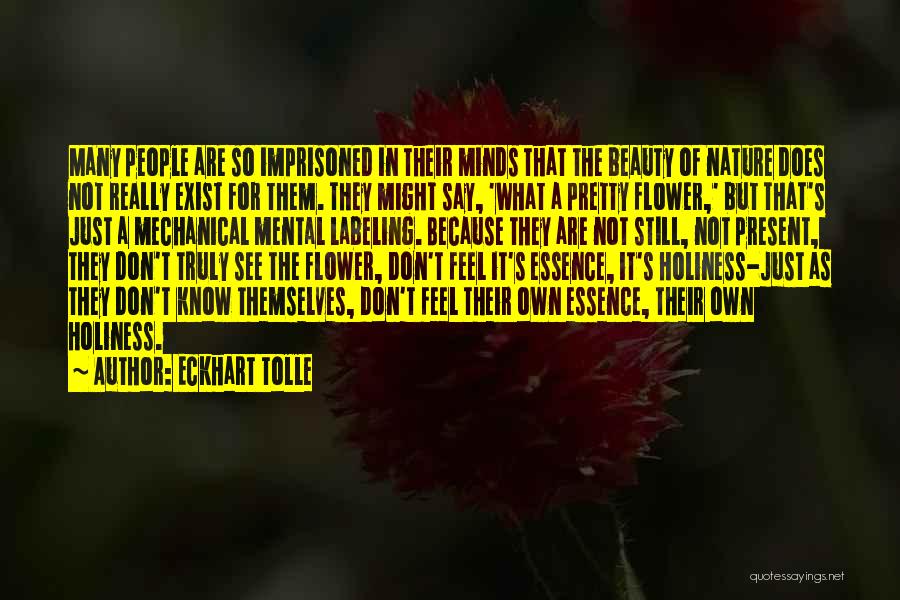 Essence Of Beauty Quotes By Eckhart Tolle