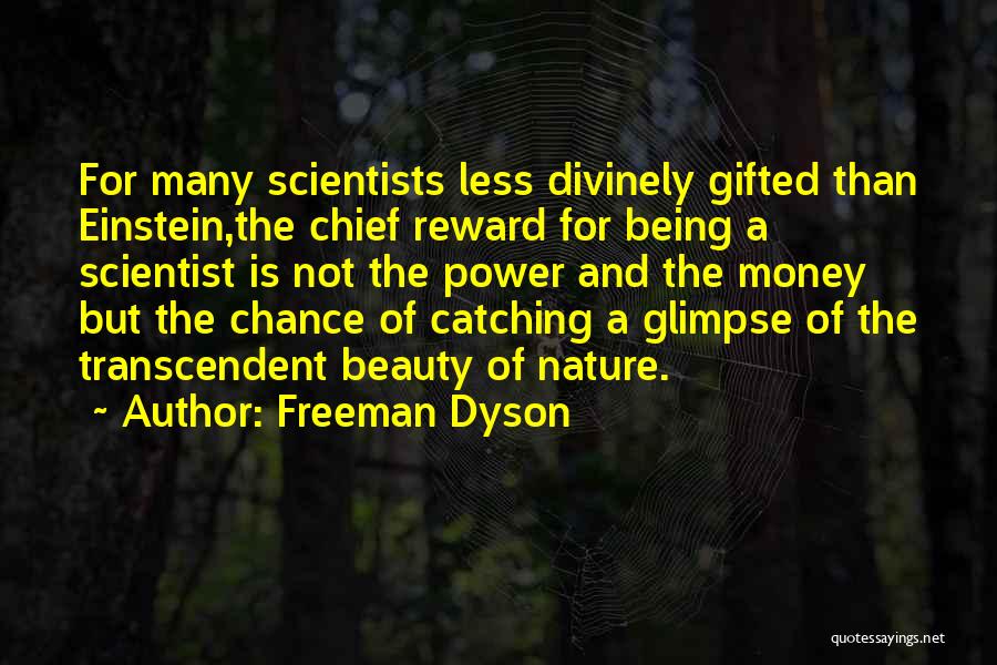 Essence Of Beauty Quotes By Freeman Dyson