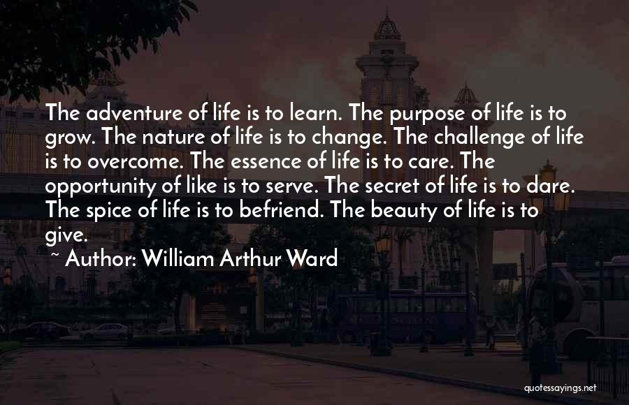 Essence Of Beauty Quotes By William Arthur Ward