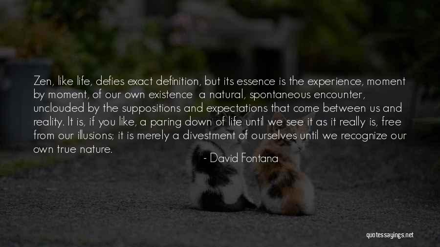 Essence Of Existence Quotes By David Fontana Essence Of Existence Quotes By David Fontana