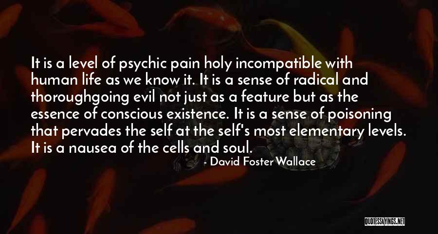 Essence Of Existence Quotes By David Foster Wallace Essence Of Existence Quotes By David Foster Wallace