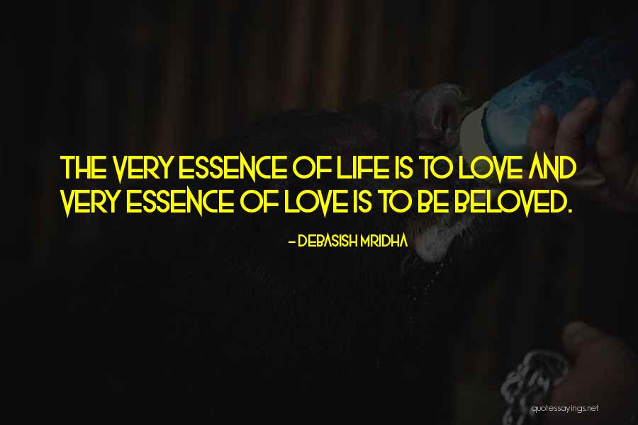 Essence Of Happiness Quotes By Debasish Mridha