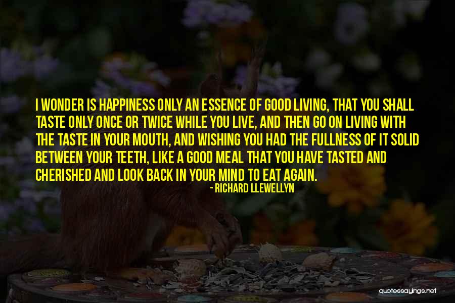 Essence Of Happiness Quotes By Richard Llewellyn