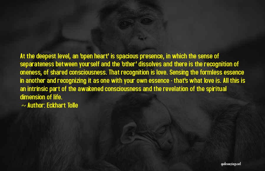 Essence Of Life Quotes By Eckhart Tolle