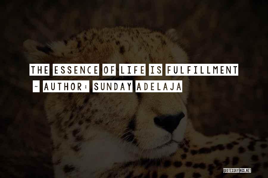 Essence Of Life Quotes By Sunday Adelaja