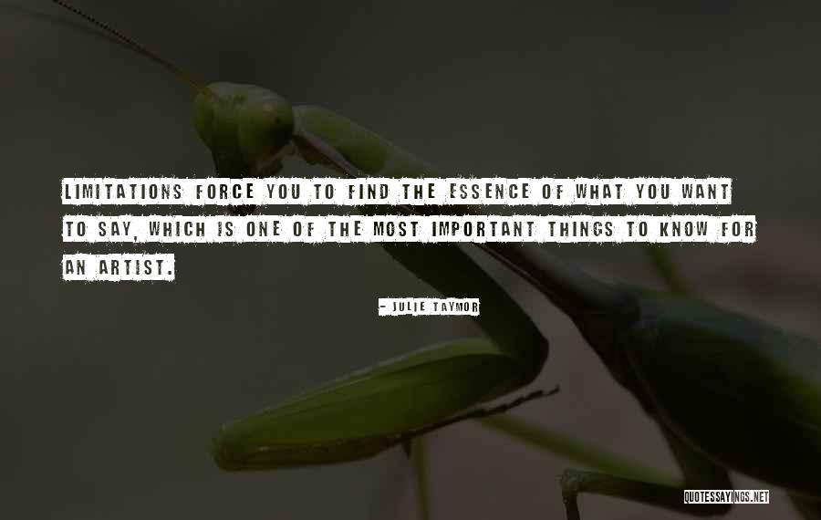 Essence Of Things Quotes By Julie Taymor Essence Of Things Quotes By Julie Taymor