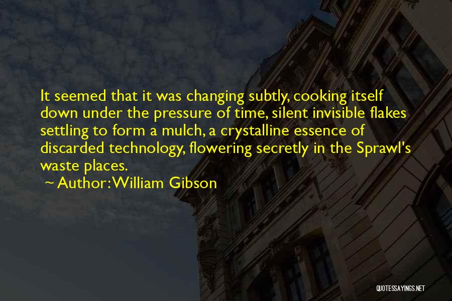 Essence Of Time Quotes By William Gibson