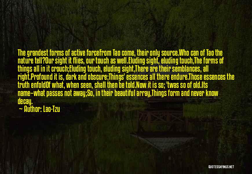 Essences Quotes By Lao-Tzu