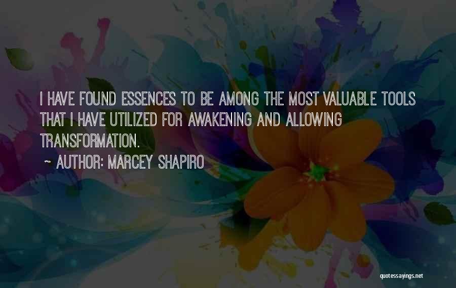 Essences Quotes By Marcey Shapiro