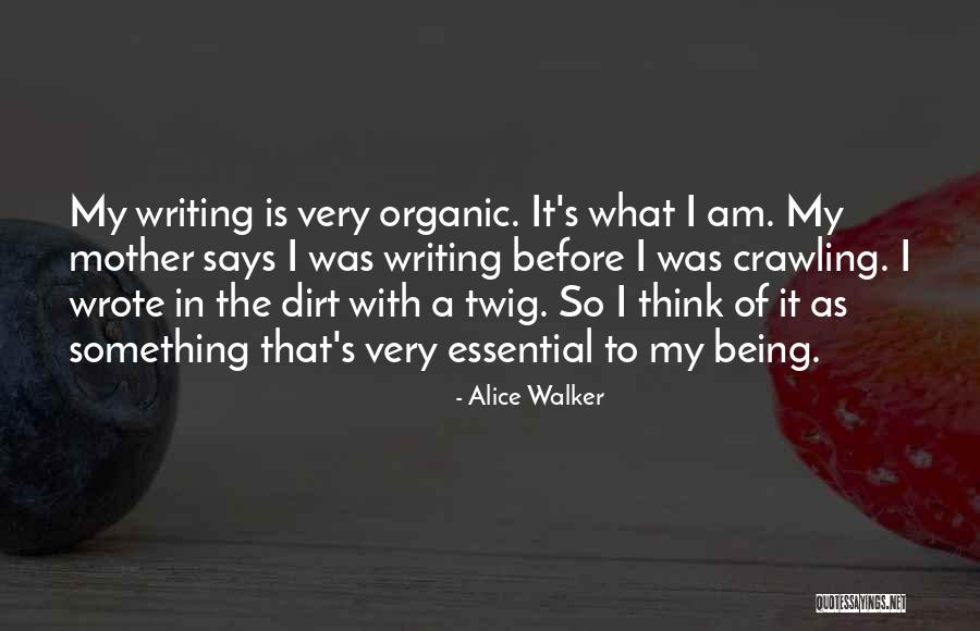 Essential Being Quotes By Alice Walker Essential Being Quotes By Alice Walker