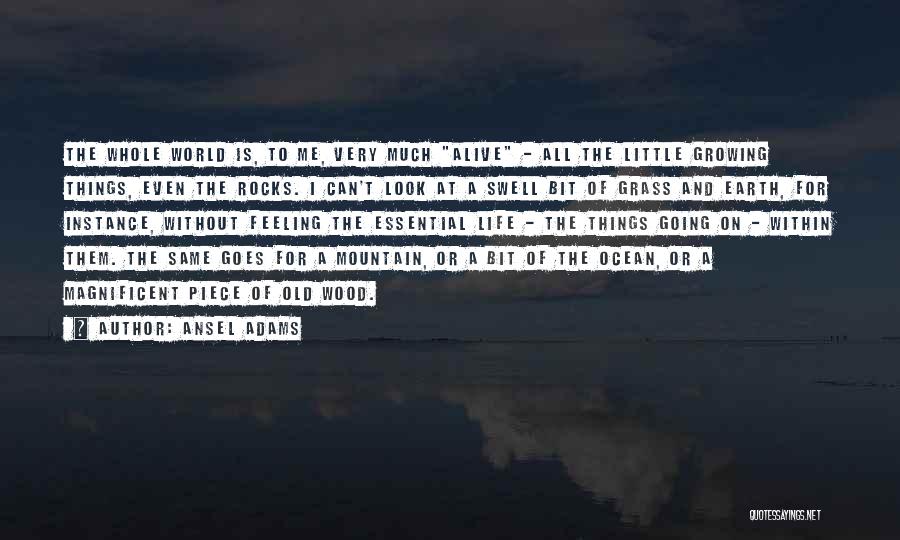Essential Things Quotes By Ansel Adams
