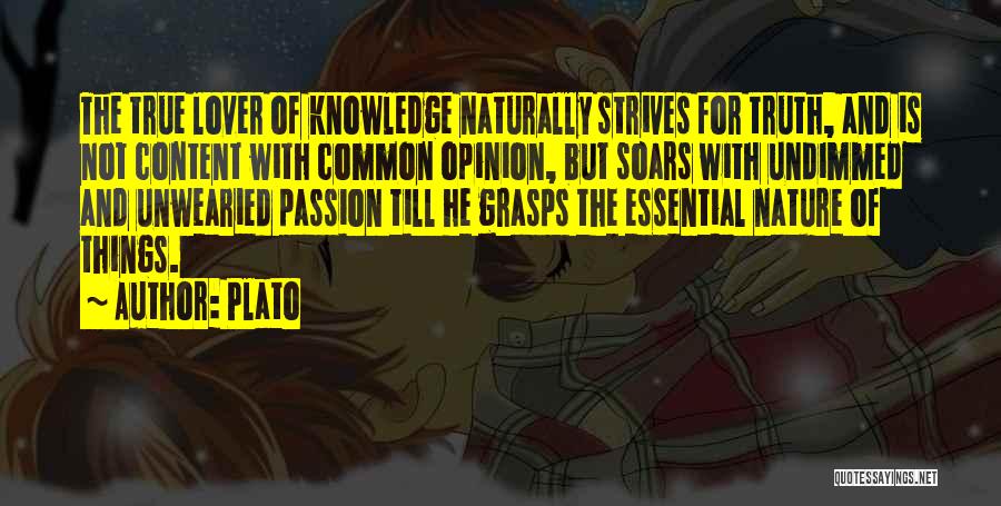 Essential Things Quotes By Plato