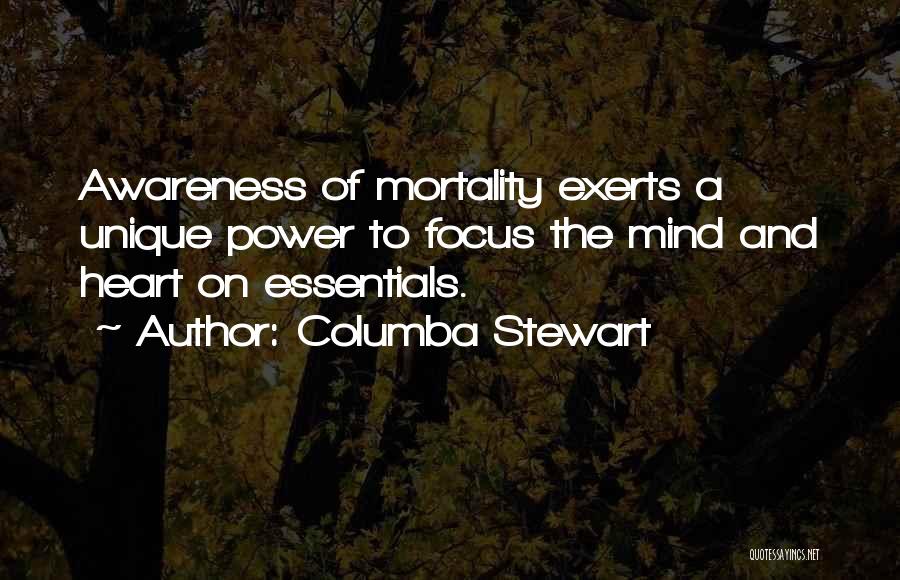 Essentials Quotes By Columba Stewart