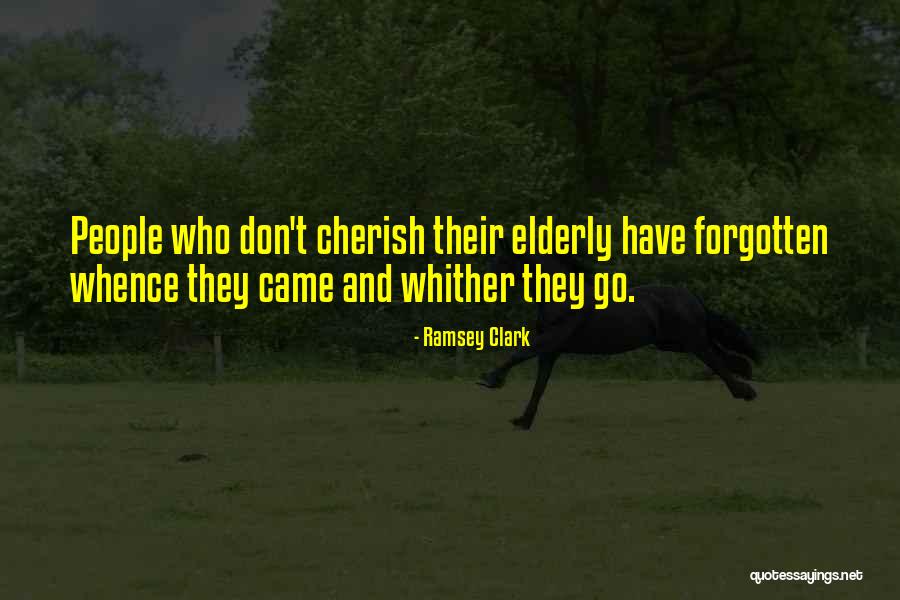 Essuyer Les Quotes By Ramsey Clark Essuyer Les Quotes By Ramsey Clark
