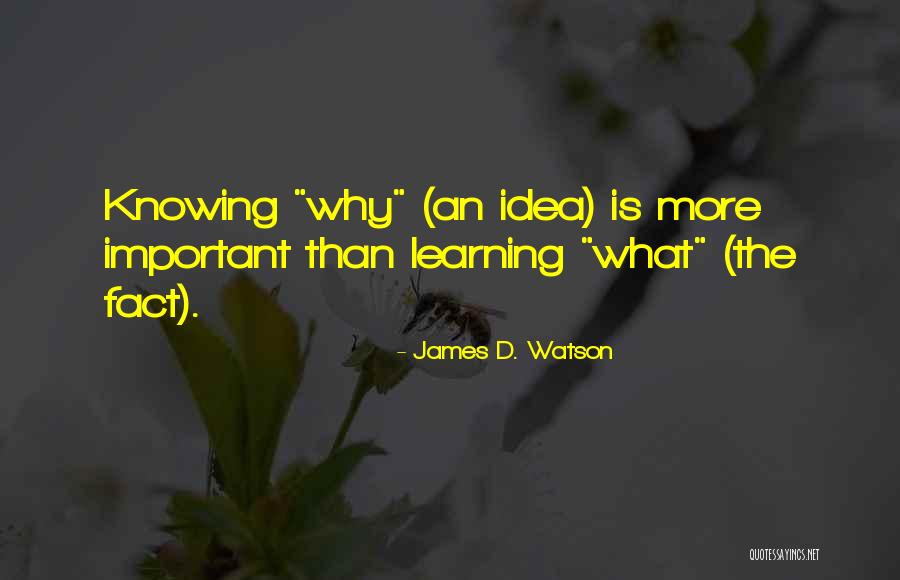 Estable En Quotes By James D. Watson Estable En Quotes By James D. Watson