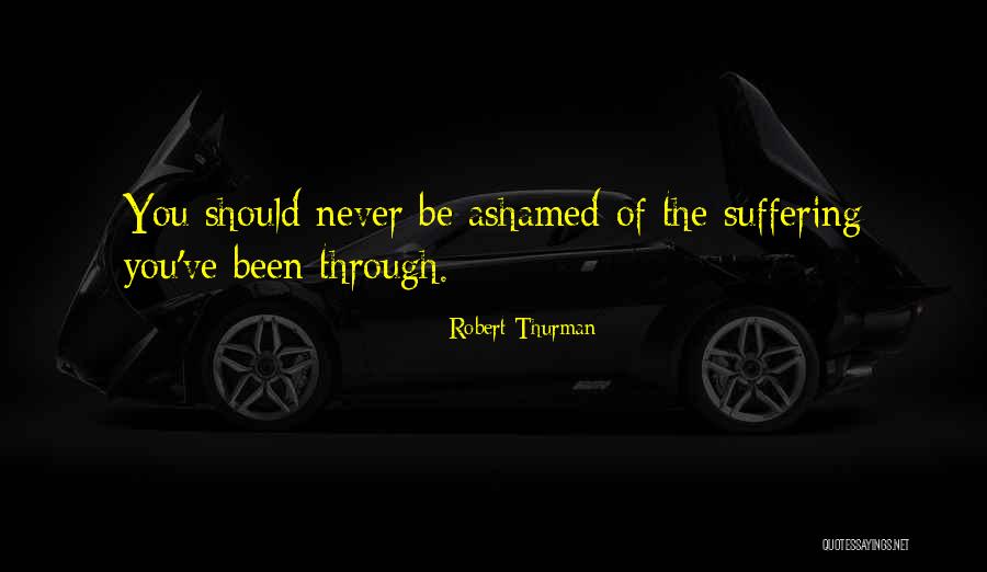 Establecidas Quotes By Robert Thurman Establecidas Quotes By Robert Thurman