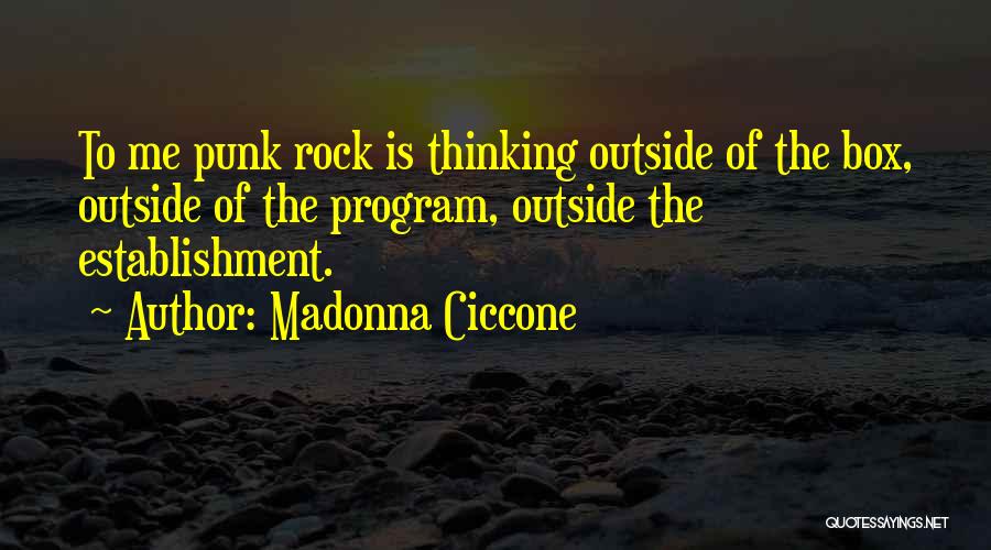 Establishment Quotes By Madonna Ciccone