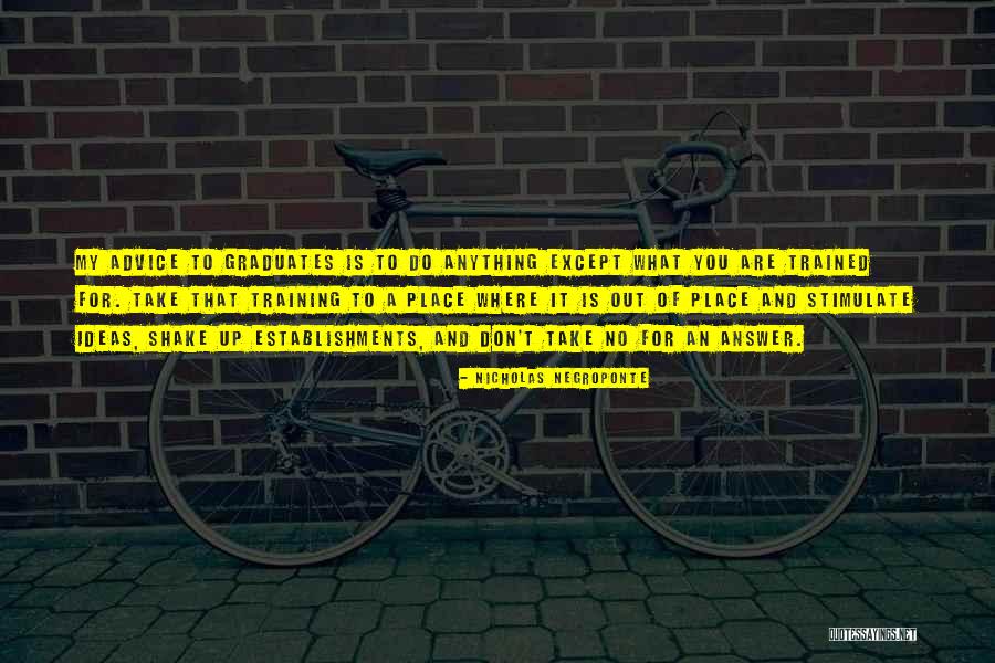 Establishments Quotes By Nicholas Negroponte Establishments Quotes By Nicholas Negroponte