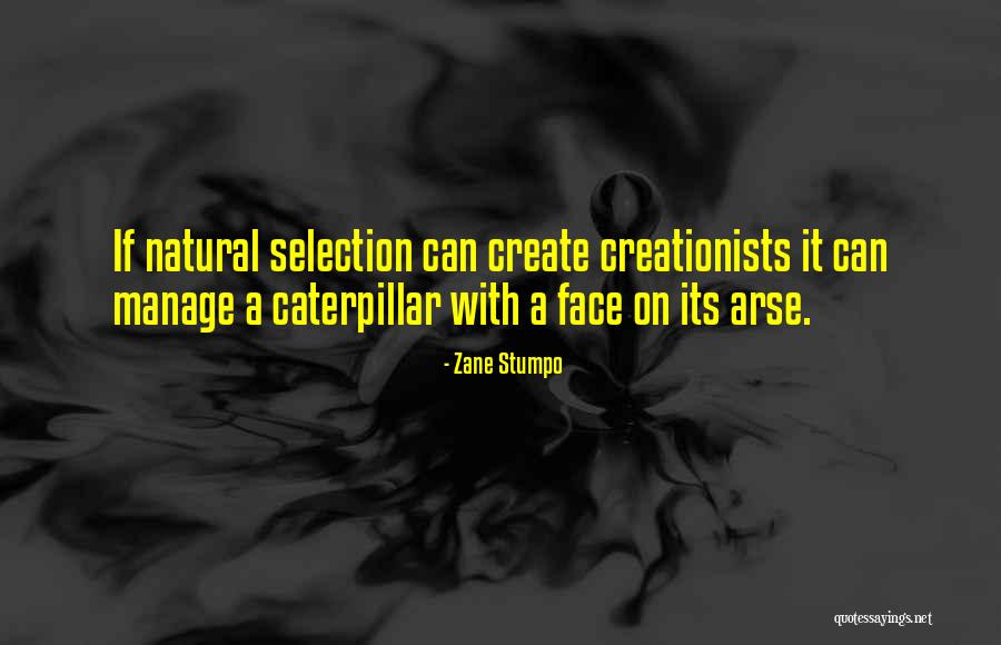 Estanteria Metalica Quotes By Zane Stumpo Estanteria Metalica Quotes By Zane Stumpo