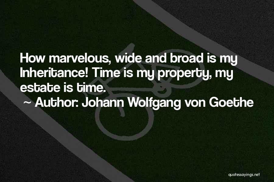 Estate Or Inheritance Quotes By Johann Wolfgang Von Goethe