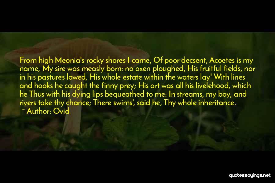 Estate Quotes By Ovid Estate Quotes By Ovid