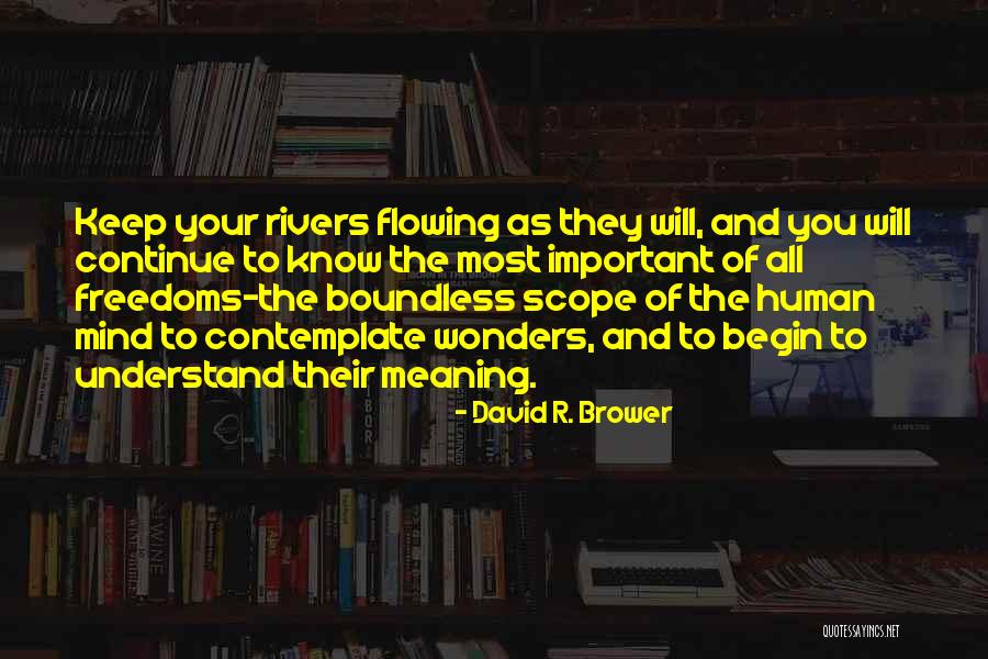 Estatismo Significado Quotes By David R. Brower Estatismo Significado Quotes By David R. Brower