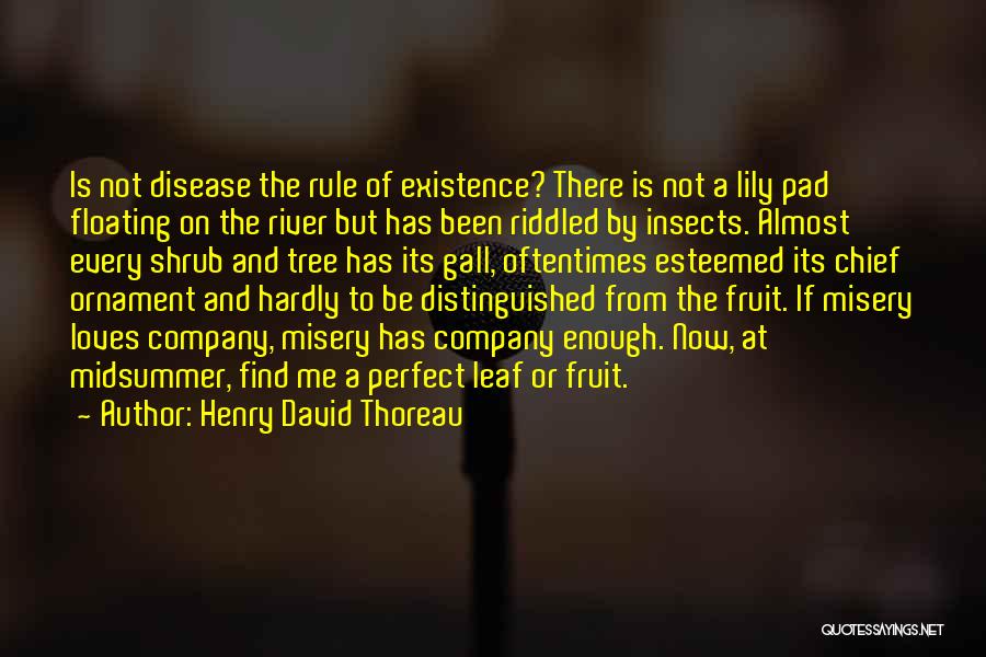 Esteemed Quotes By Henry David Thoreau