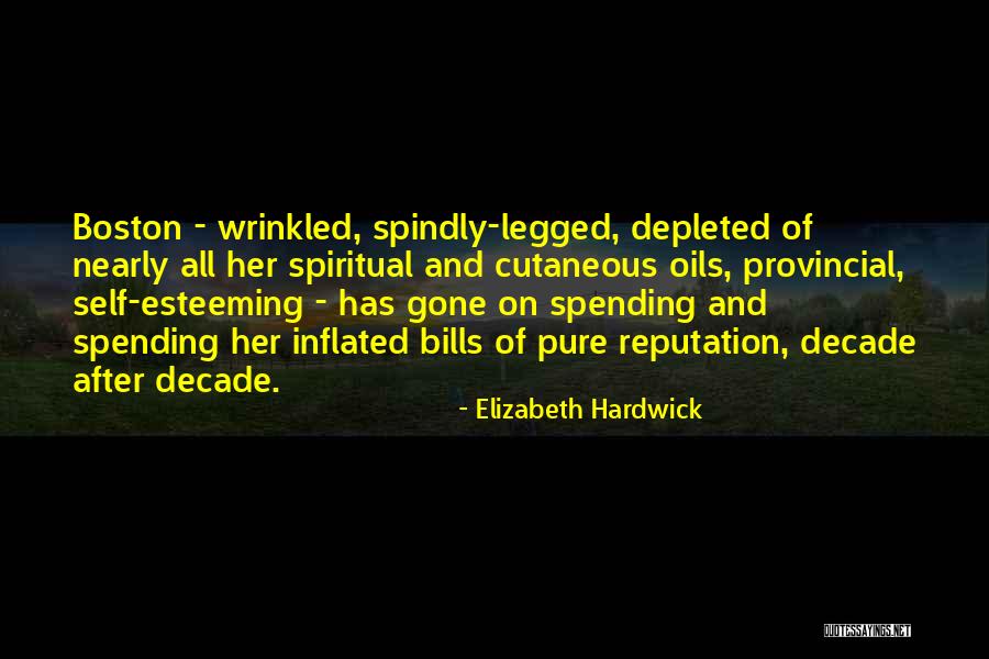 Esteeming Others Quotes By Elizabeth Hardwick