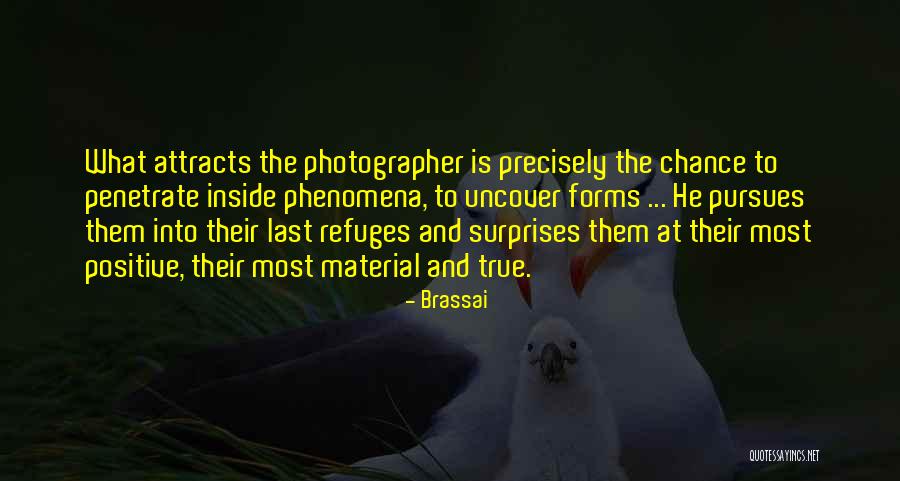Estelares De Polymarchs Quotes By Brassai Estelares De Polymarchs Quotes By Brassai