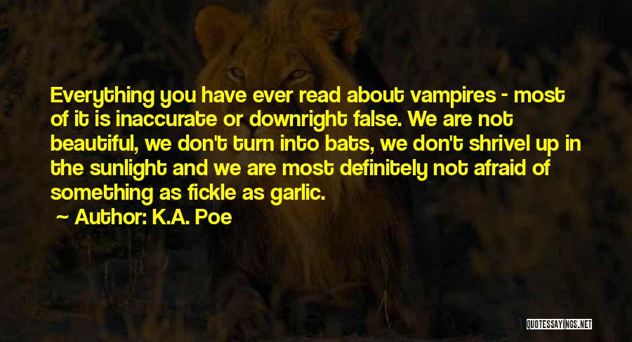 Esterilizacion De Perros Quotes By K.A. Poe