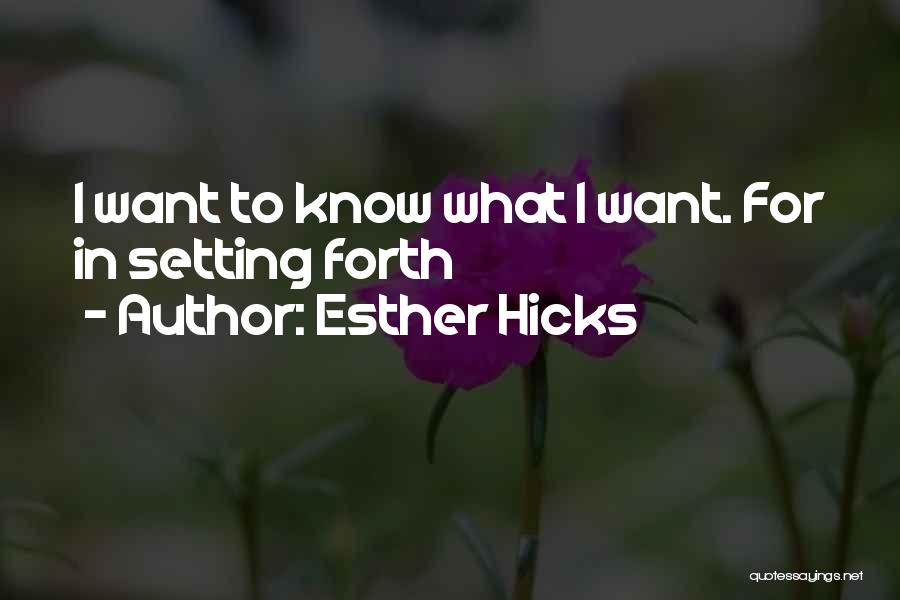 Esther Hicks Quotes 164009