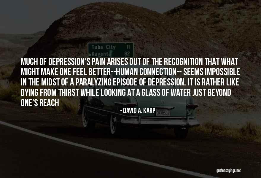 Estienne Dorves Quotes By David A. Karp Estienne Dorves Quotes By David A. Karp