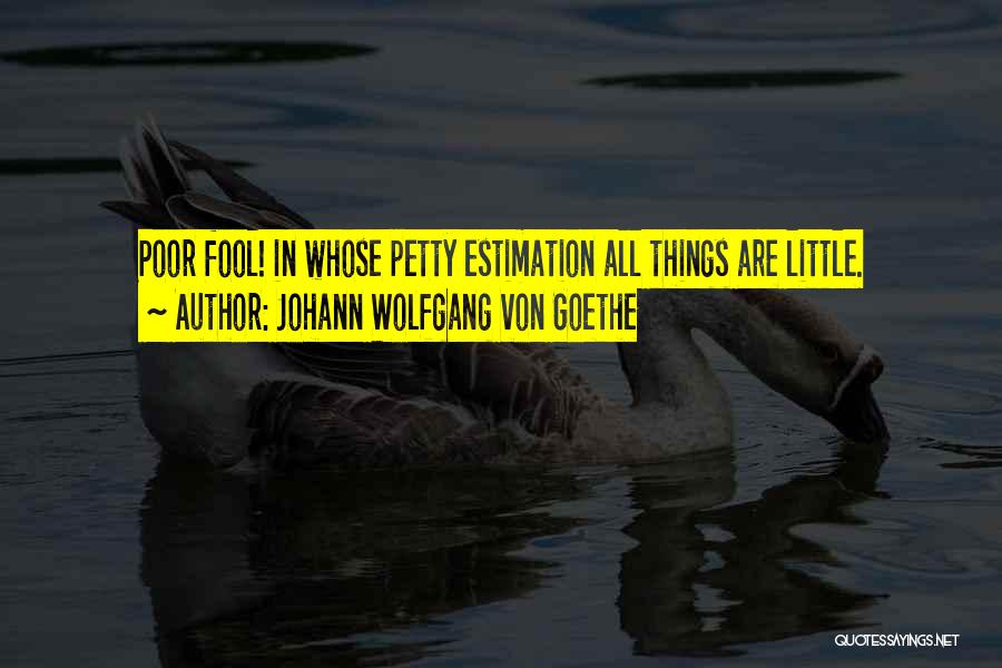 Estimation Quotes By Johann Wolfgang Von Goethe