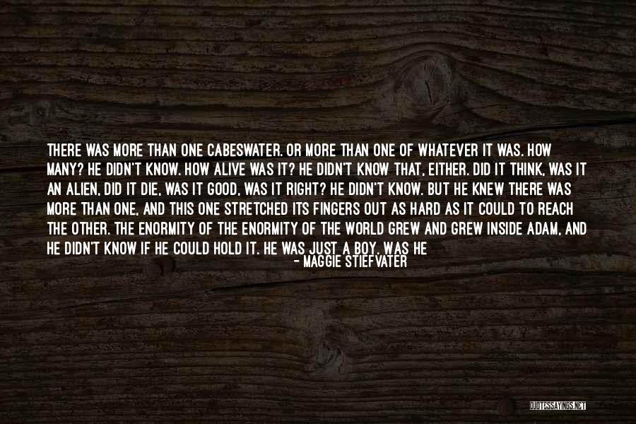 Estitxu Fernandez Quotes By Maggie Stiefvater Estitxu Fernandez Quotes By Maggie Stiefvater