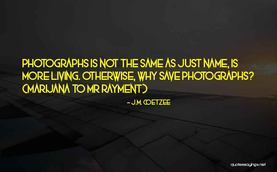 Estle Quotes By J.M. Coetzee Estle Quotes By J.M. Coetzee