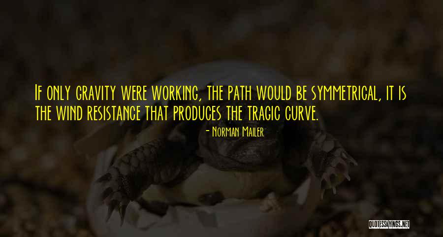 Estner Injury Quotes By Norman Mailer Estner Injury Quotes By Norman Mailer