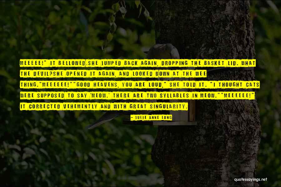 Estoque Lamborghini Quotes By Julie Anne Long Estoque Lamborghini Quotes By Julie Anne Long