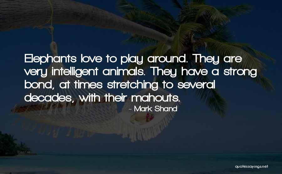 Estovir Quotes By Mark Shand Estovir Quotes By Mark Shand