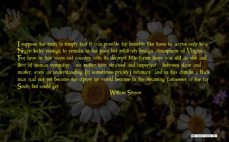 Estoy Feliz Quotes By William Styron