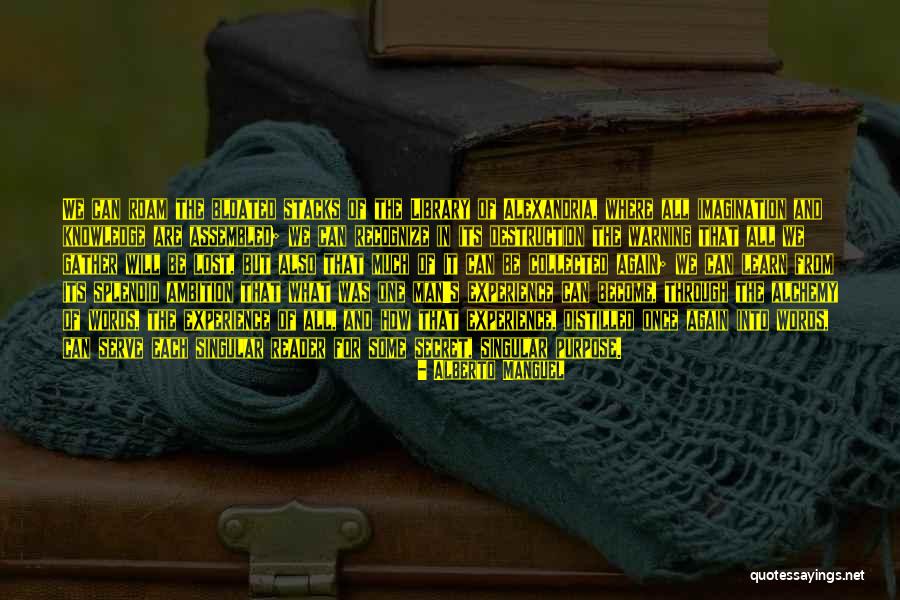 Estque One Piece Quotes By Alberto Manguel Estque One Piece Quotes By Alberto Manguel