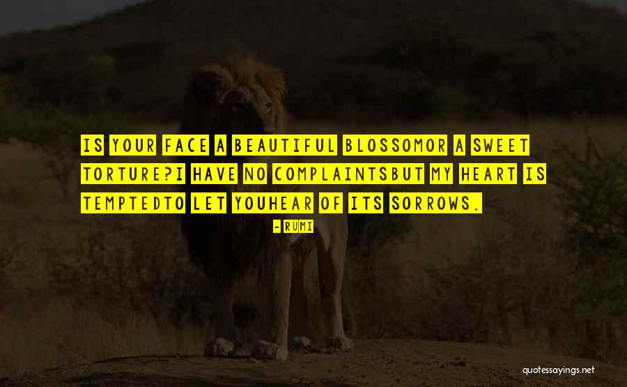 Estrago Significado Quotes By Rumi Estrago Significado Quotes By Rumi