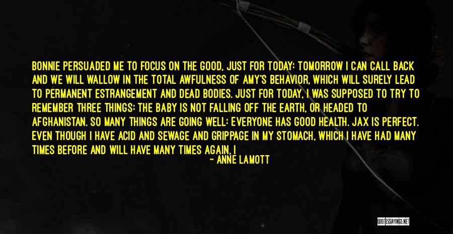 Estrangement From Family Quotes By Anne Lamott Estrangement From Family Quotes By Anne Lamott