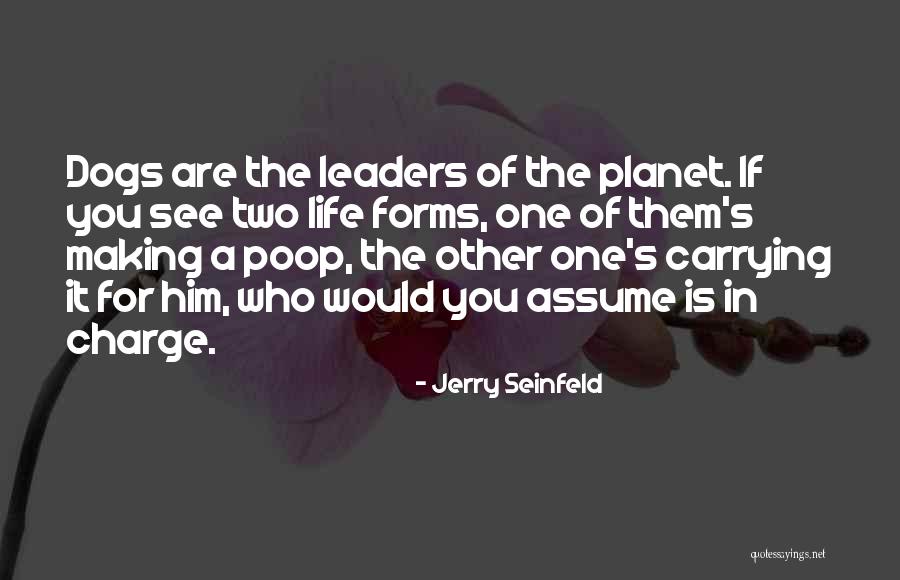 Estrechos Amigos Quotes By Jerry Seinfeld Estrechos Amigos Quotes By Jerry Seinfeld
