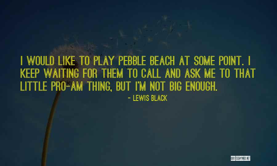 Estricto Cumplimiento Quotes By Lewis Black Estricto Cumplimiento Quotes By Lewis Black